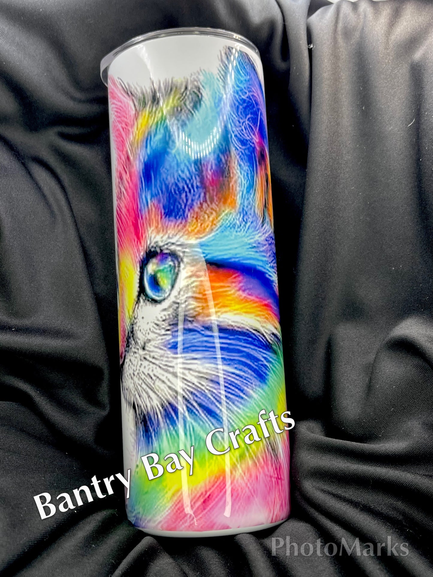 Vivid Colored Kitty with Butterfly on Nose Tumbler