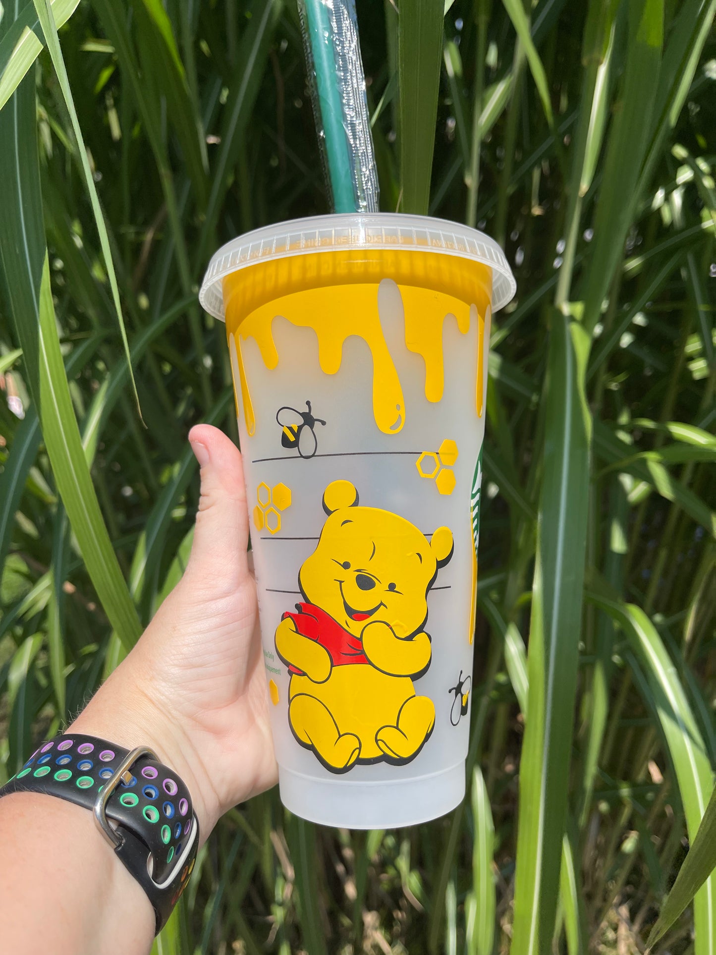 Winnie the Pooh